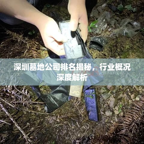 深圳墓地公司排名揭秘，行业概况深度解析