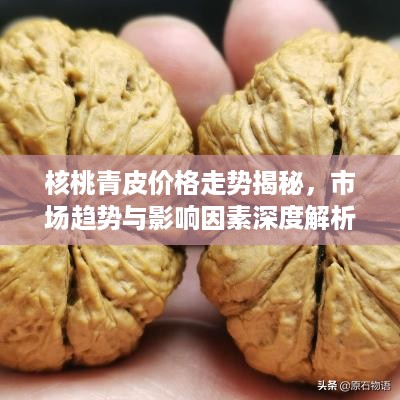 核桃青皮价格走势揭秘，市场趋势与影响因素深度解析