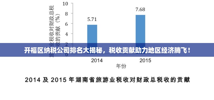 开福区纳税公司排名大揭秘，税收贡献助力地区经济腾飞！