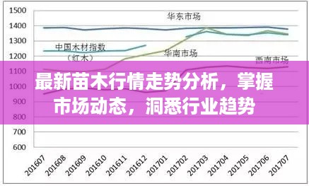 最新苗木行情走势分析，掌握市场动态，洞悉行业趋势