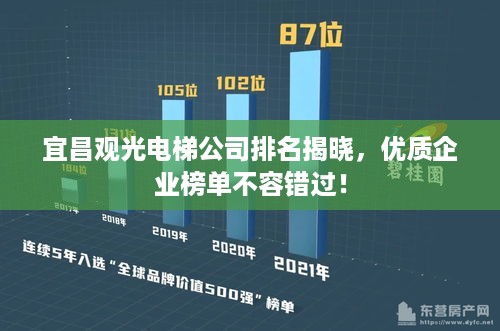 宜昌观光电梯公司排名揭晓，优质企业榜单不容错过！