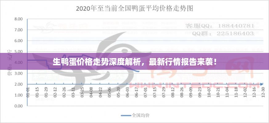 生鸭蛋价格走势深度解析，最新行情报告来袭！