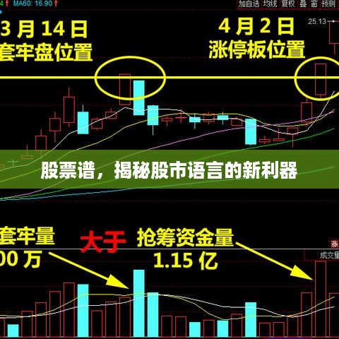 股票谱，揭秘股市语言的新利器