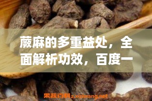 蕨麻的多重益处，全面解析功效，百度一下即知！