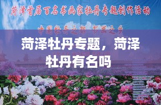 菏泽牡丹专题，菏泽牡丹有名吗 