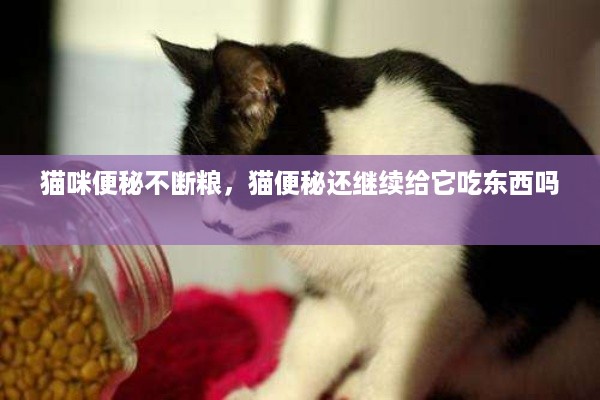 猫咪便秘不断粮，猫便秘还继续给它吃东西吗 