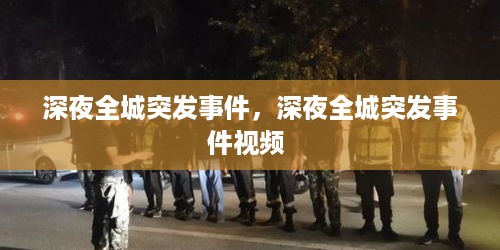 深夜全城突发事件，深夜全城突发事件视频 