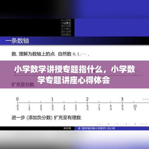 小学数学讲授专题指什么，小学数学专题讲座心得体会 