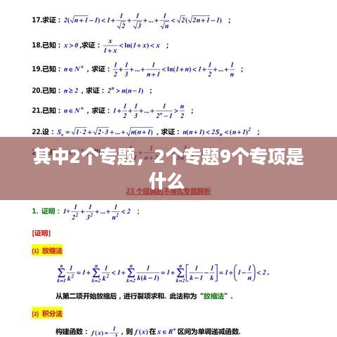 其中2个专题，2个专题9个专项是什么 