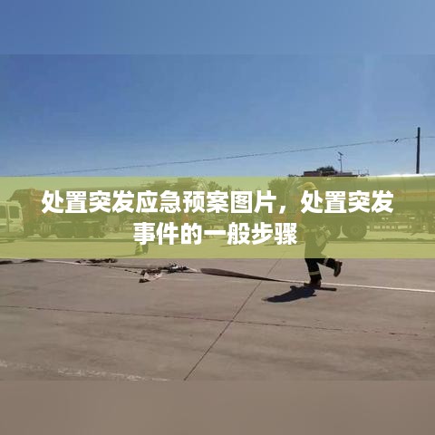 处置突发应急预案图片，处置突发事件的一般步骤 