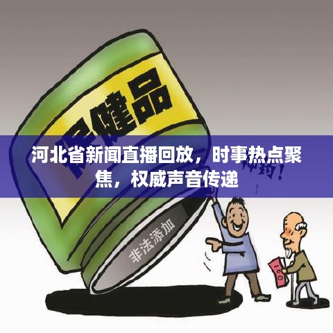 河北省新闻直播回放，时事热点聚焦，权威声音传递