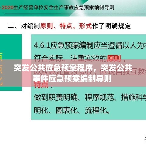 突发公共应急预案程序，突发公共事件应急预案编制导则 