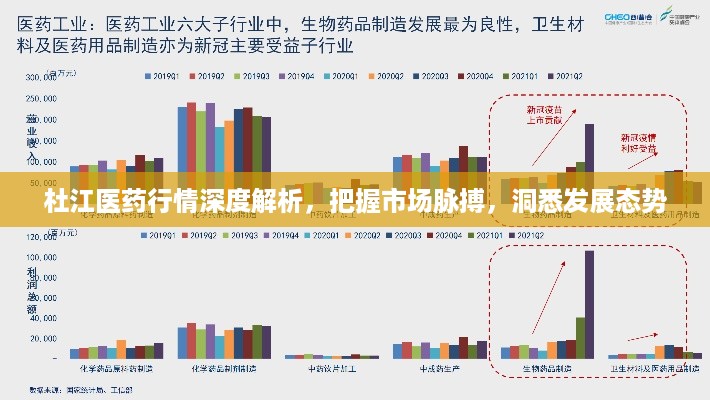 杜江医药行情深度解析，把握市场脉搏，洞悉发展态势