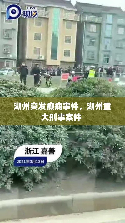 湖州突发癫痫事件，湖州重大刑事案件 