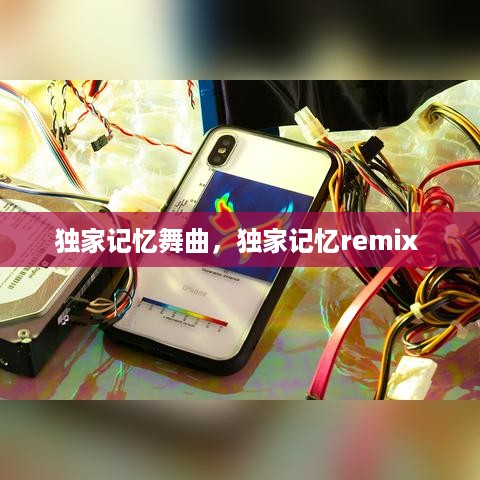 独家记忆舞曲，独家记忆remix 