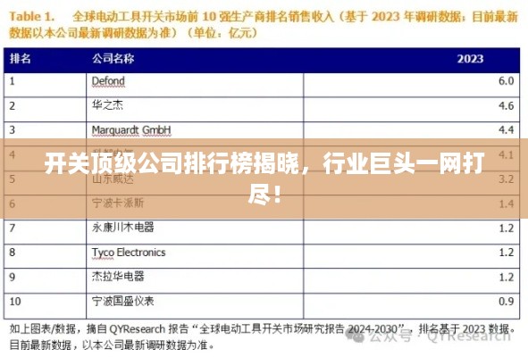 开关顶级公司排行榜揭晓，行业巨头一网打尽！