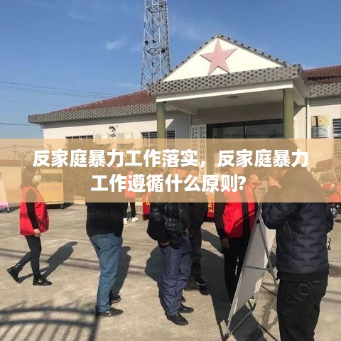 反家庭暴力工作落实，反家庭暴力工作遵循什么原则? 