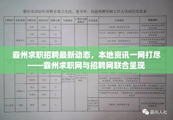 霸州求职招聘最新动态，本地资讯一网打尽——霸州求职网与招聘网联合呈现