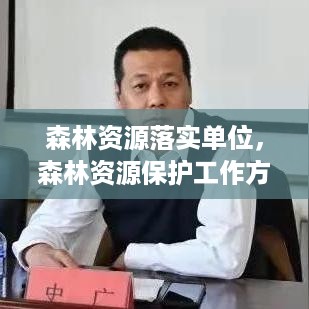 森林资源落实单位，森林资源保护工作方案 