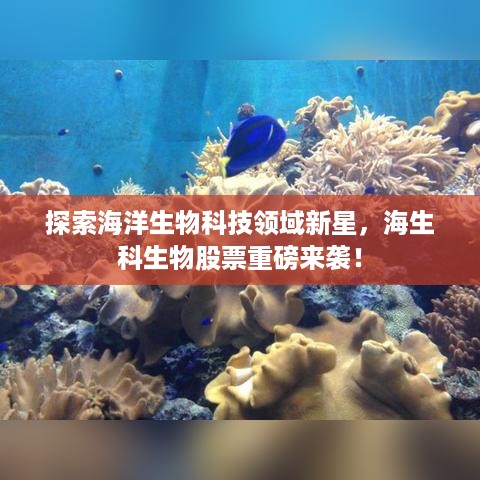 探索海洋生物科技领域新星，海生科生物股票重磅来袭！