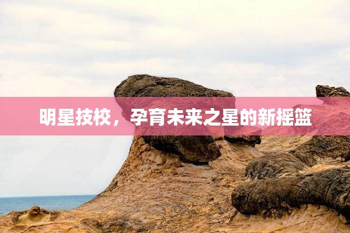 明星技校，孕育未来之星的新摇篮