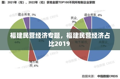 福建民营经济专题，福建民营经济占比2019 